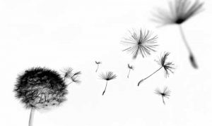 Untitled-1